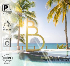 Studio Or au Diamant, vue mer des Caraïbes
